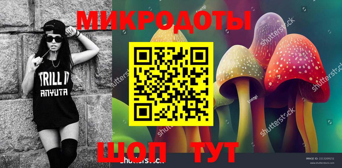 Псилоцибиновые грибы Cubensis Гатчина