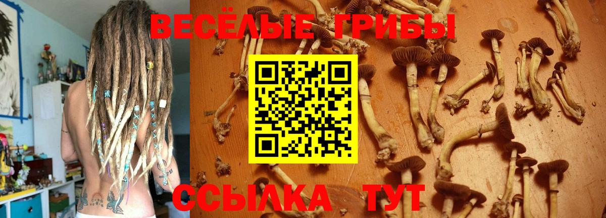 БУТИРАТ Гатчина